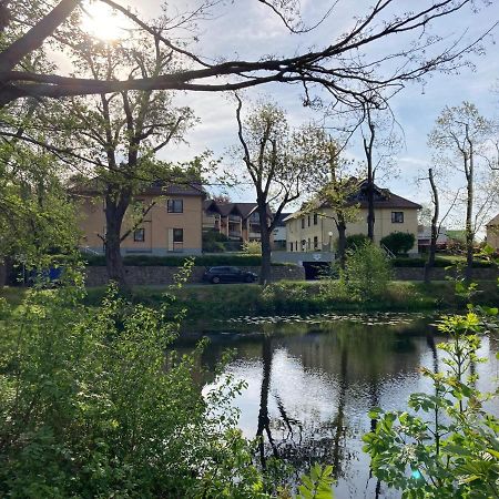 Ferienwohnung Teichblick -Balkon- Drezno Zewnętrze zdjęcie