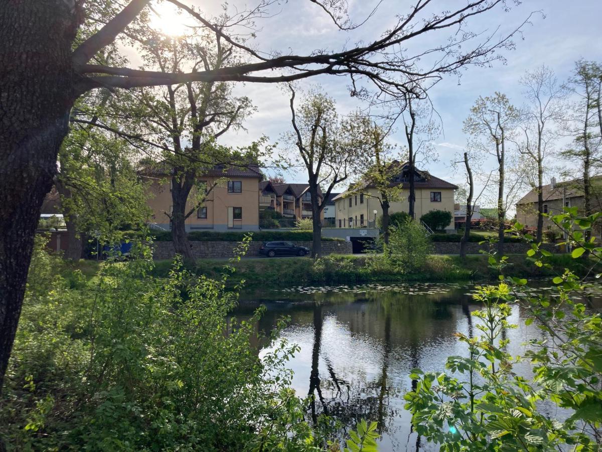 Ferienwohnung Teichblick -Balkon- Drezno Zewnętrze zdjęcie